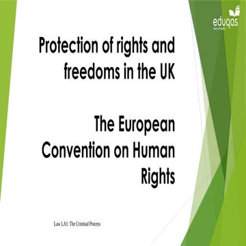 european-convention-human-rights protection of rights and freedom in ...