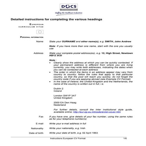 European Cv Template