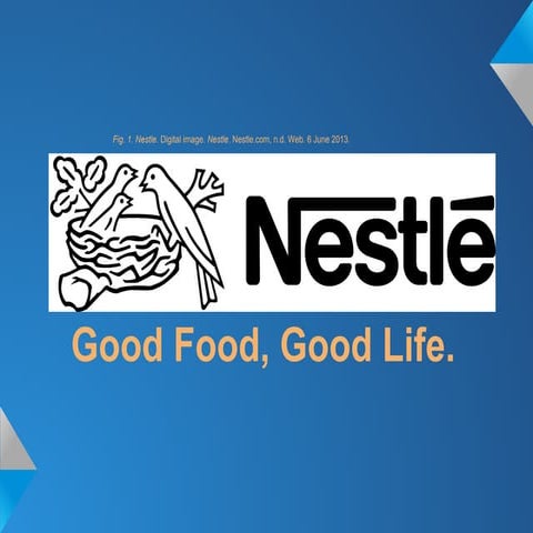 Europe group globalization proj2013