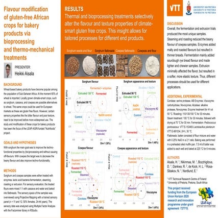 VTT's Heikki Aisala: Flavour modification of gluten-free African crops