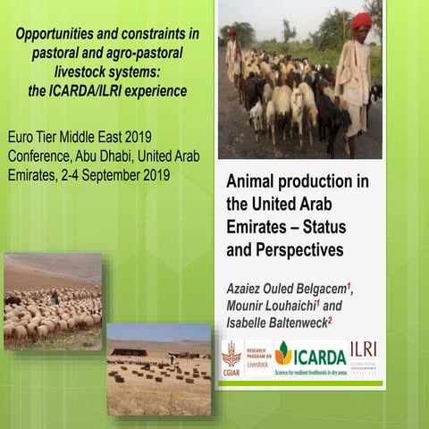 Opportunities and constraints in pastoral and agro-pastoral livestock systems...