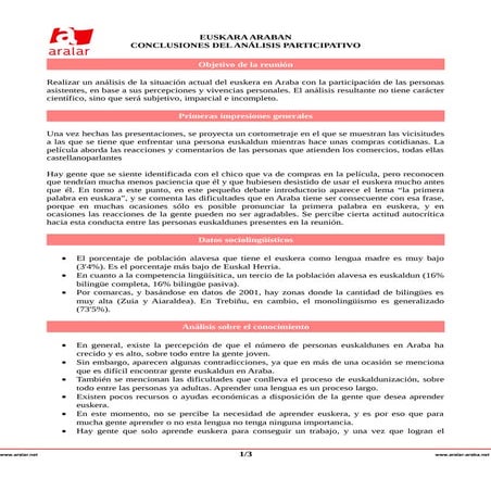 EUSKARA ARABAN: Conclusiones de la reunión abierta (Castellano) 2013.11.20