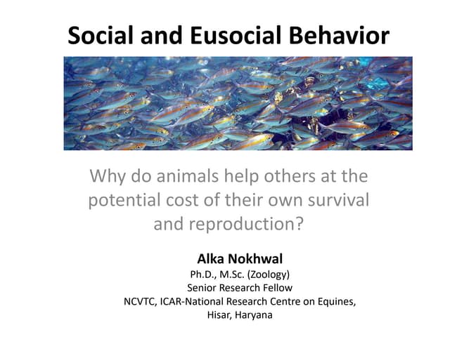 Eusocial behaviour.pptx