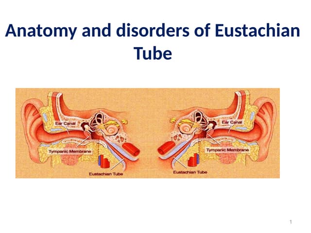 eustachian tube function tests.pptx | Ear, Nose and Throat Conditions ...