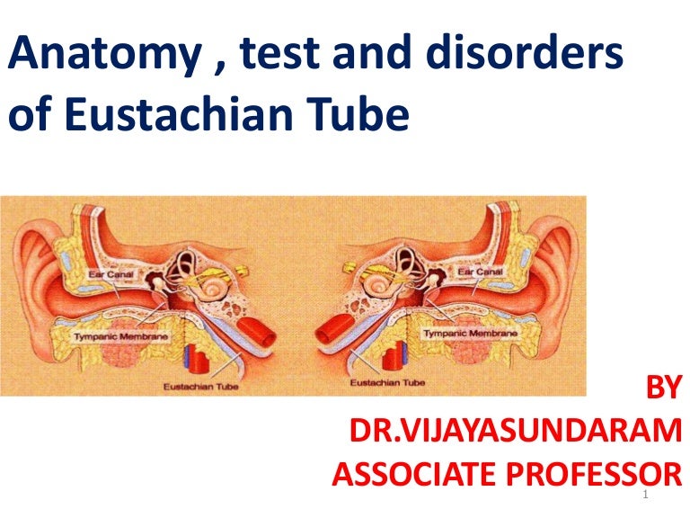Eustachian tube, anatomy, test and disorders, dr.vijaya sundarm, 20…
