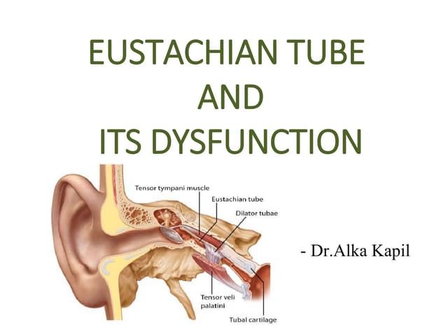 eustachian tube function tests.pptx | Ear, Nose and Throat Conditions ...