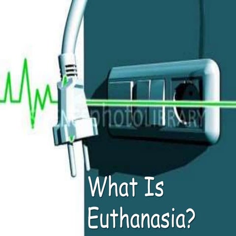 Euthanasia