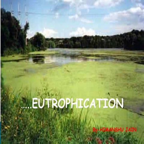 Eutrophication