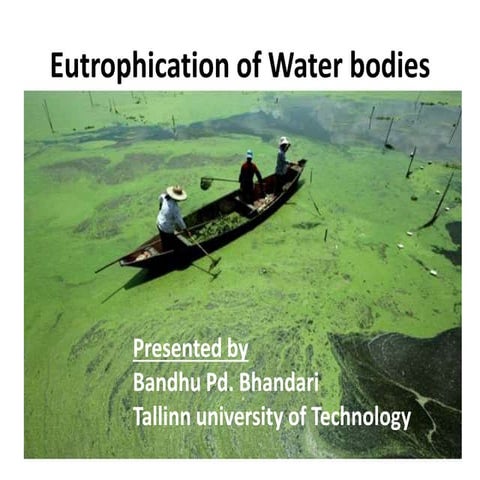 Eutrophication of water body
