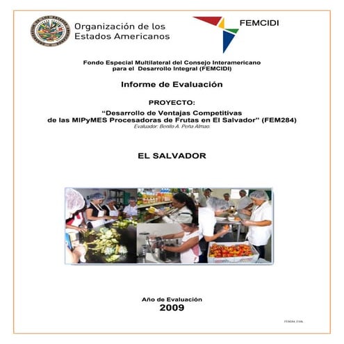 Desarrollo de Ventajas Competitivas de las MIPyMES Procesadoras de Frutas en ...