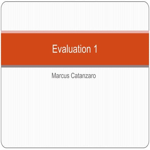 Evaluation 1