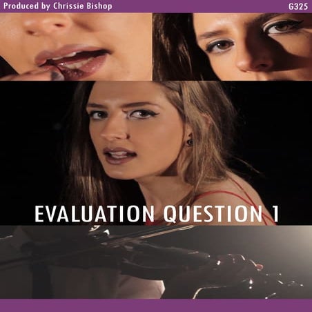 Evaluation Question 1