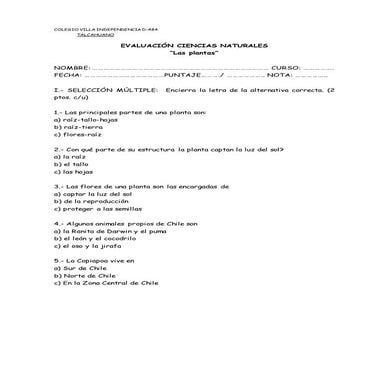 Evaluación 1° las plantas