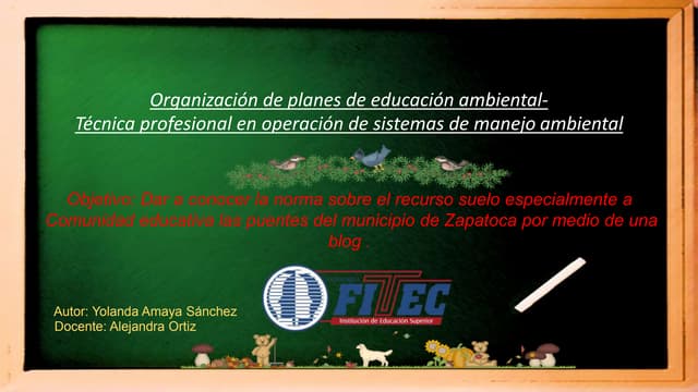 Cuidemos nuestros suelos