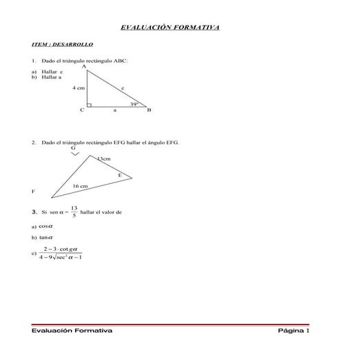 EvaluacióN Formativa