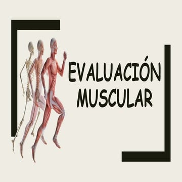 EVALUACION-MUSCULAR12345678910111213141516171819202122232425.pptx