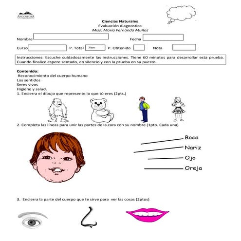 Evaluacion de diagnostico de ciencias