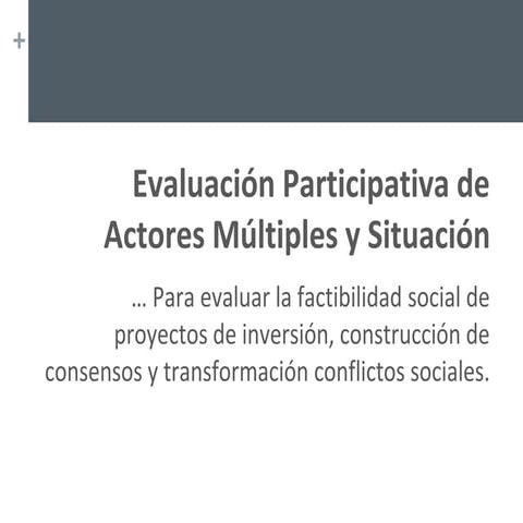 Evaluacion Participativa de Actores y Situacion 