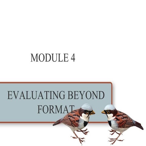 Evaluating beyond format module 4