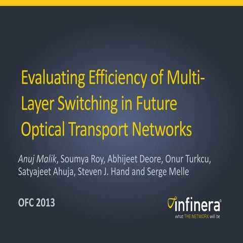Evaluating efficiency of multi layer switching in future optical transport ne...