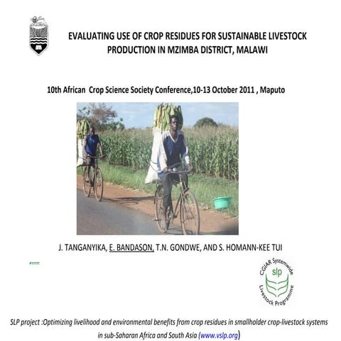 Evaluating use of crop residues for sustainable livestock production in Mzimb...