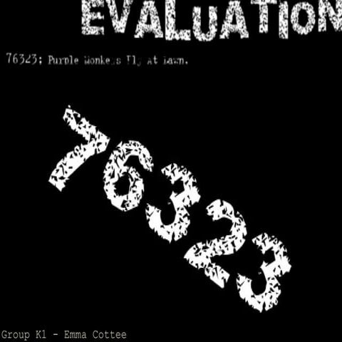Evaluation