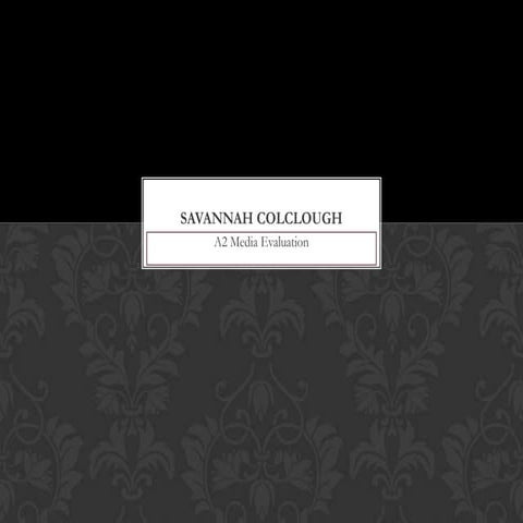 Savannahs Evaluation