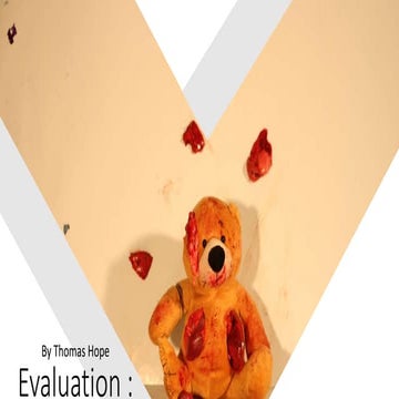 Evaluation Question 4/5