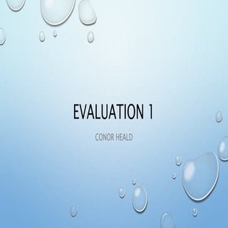 Evaluation 1