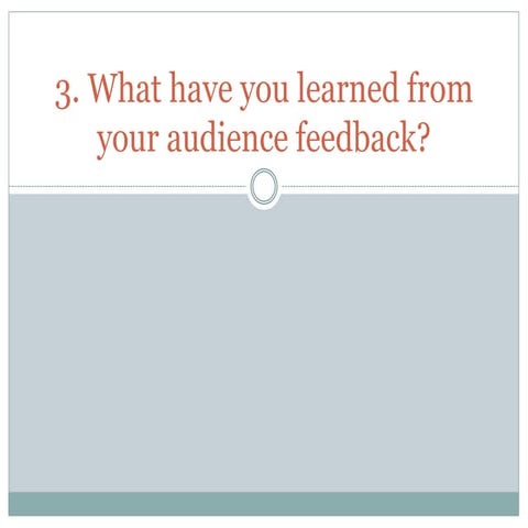 3. What have you learned from your audience feedback? 
