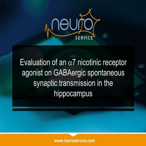 Evaluation of alpha7 nicotinic receptor agonist on gabaergic synaptic activity