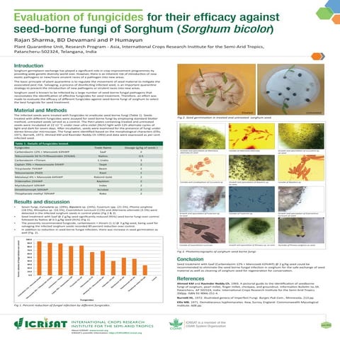 Evaluation of fungicides for their efficacy against seed-borne fungi of Sorgh...