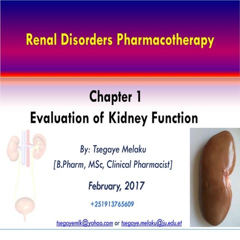 Evaluation of kidney function | PDF