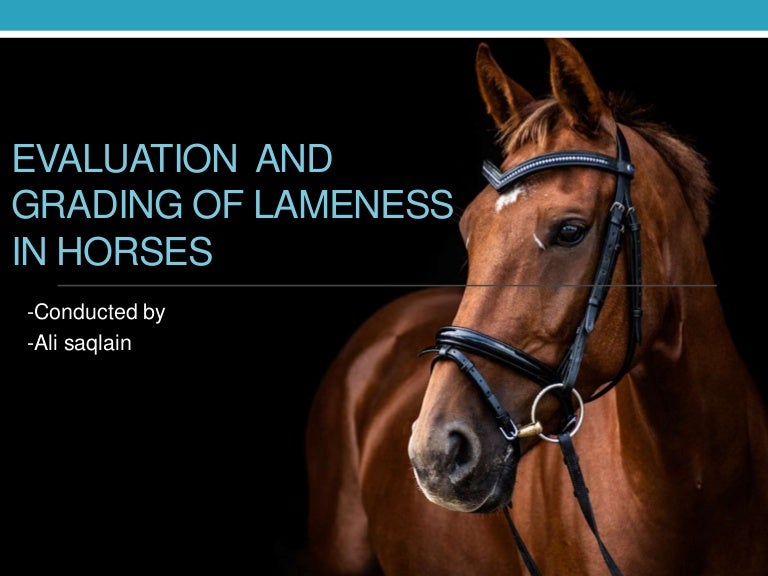 Evaluation of lameness in horses
