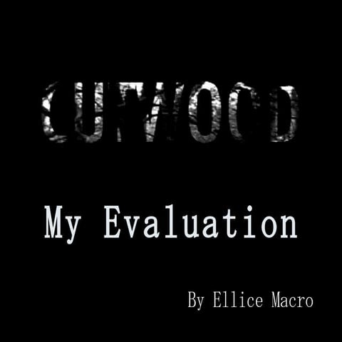 Evaluation by Ellice Macro