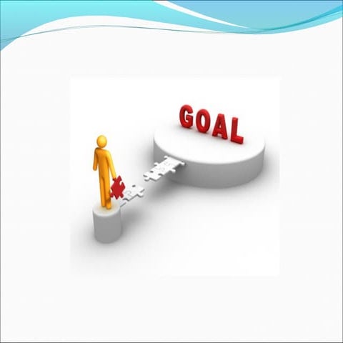 Evaluation program´s comments