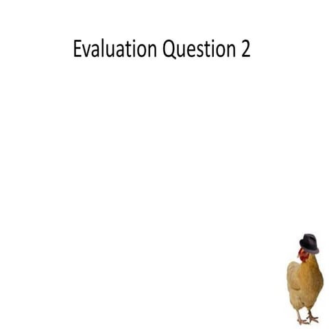 Evaluation Question 3