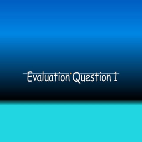 Evaluation question 1