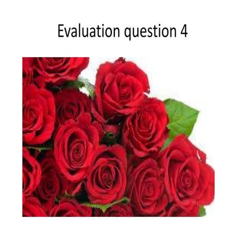 Evaluation question 4