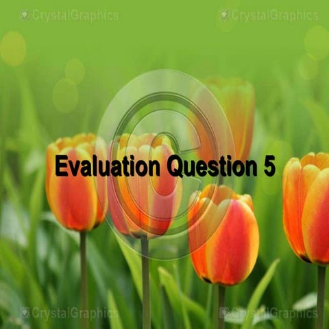 Question 5 | PPTX