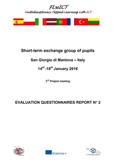Evaluation questionnaires report n.2 
