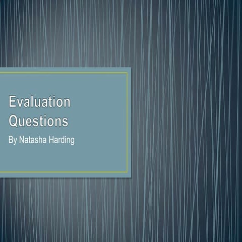 Evaluation questions