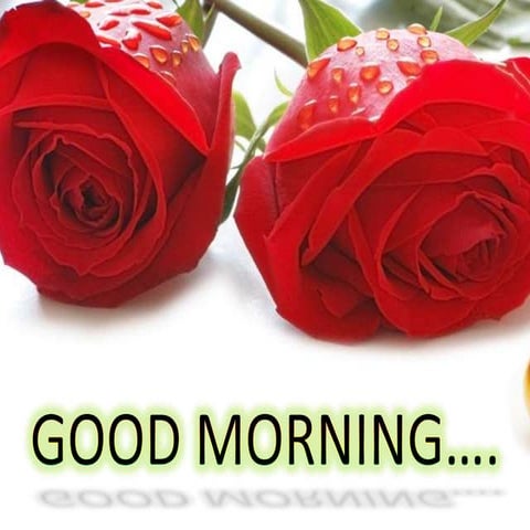 Evaluation strategies conference final