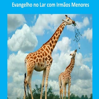 Evangelho animais 36