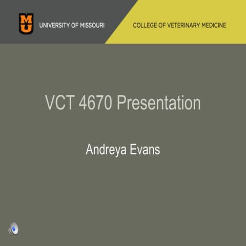 Evansaj presentation