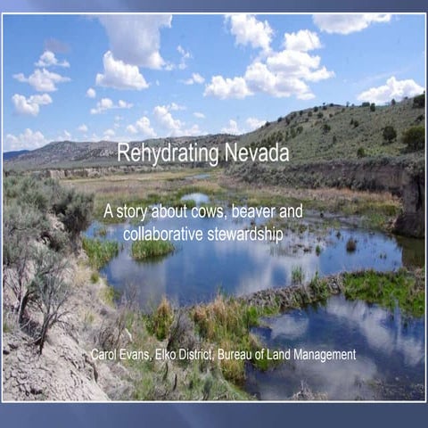 Carol Evans, "Rehydrating Nevada"