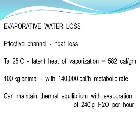 Evaporation