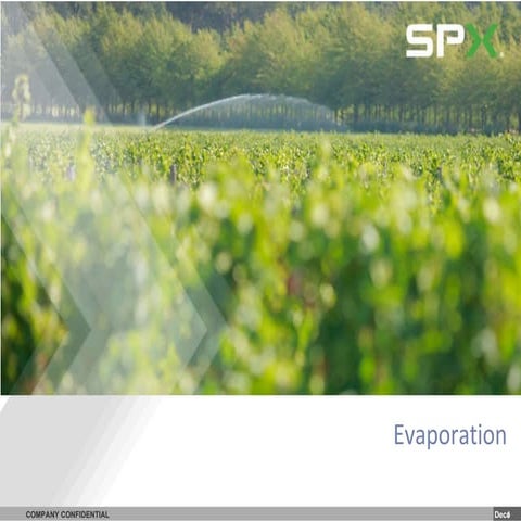 Evaporation New Template