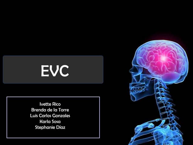 Evc сервис тесла