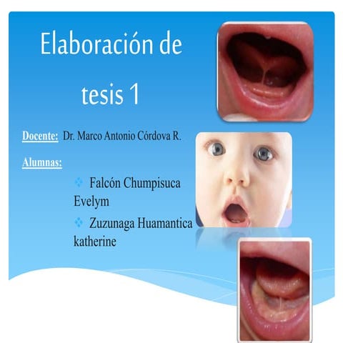 Evelym falcon katherine zuzunaga